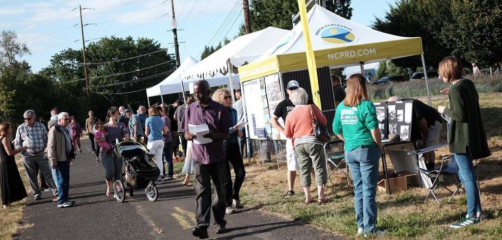 crowd of people at park engagement event